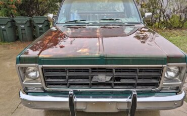 Chevrolet-Ck-truck-c20-1979-Green-Green