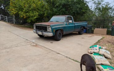 Chevrolet-Ck-truck-c20-1979-Green-Green-7