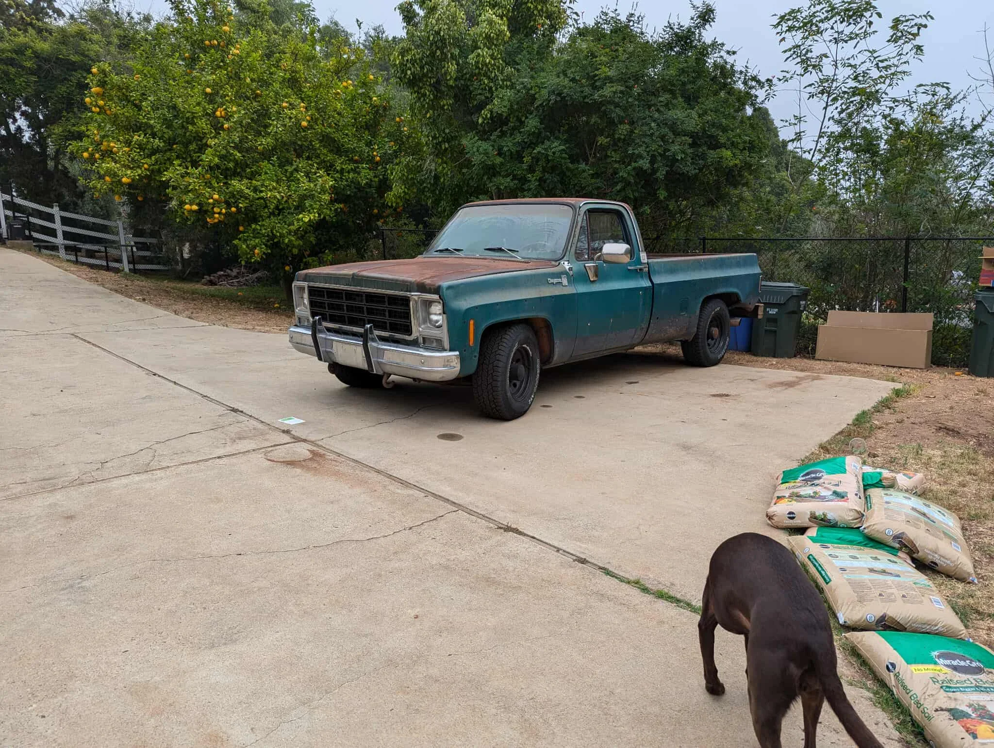 Chevrolet-Ck-truck-c20-1979-Green-Green-7