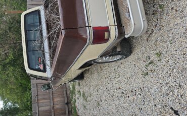 Chevrolet-Ck-truck-camper-special-1979-Brown-Tan-2