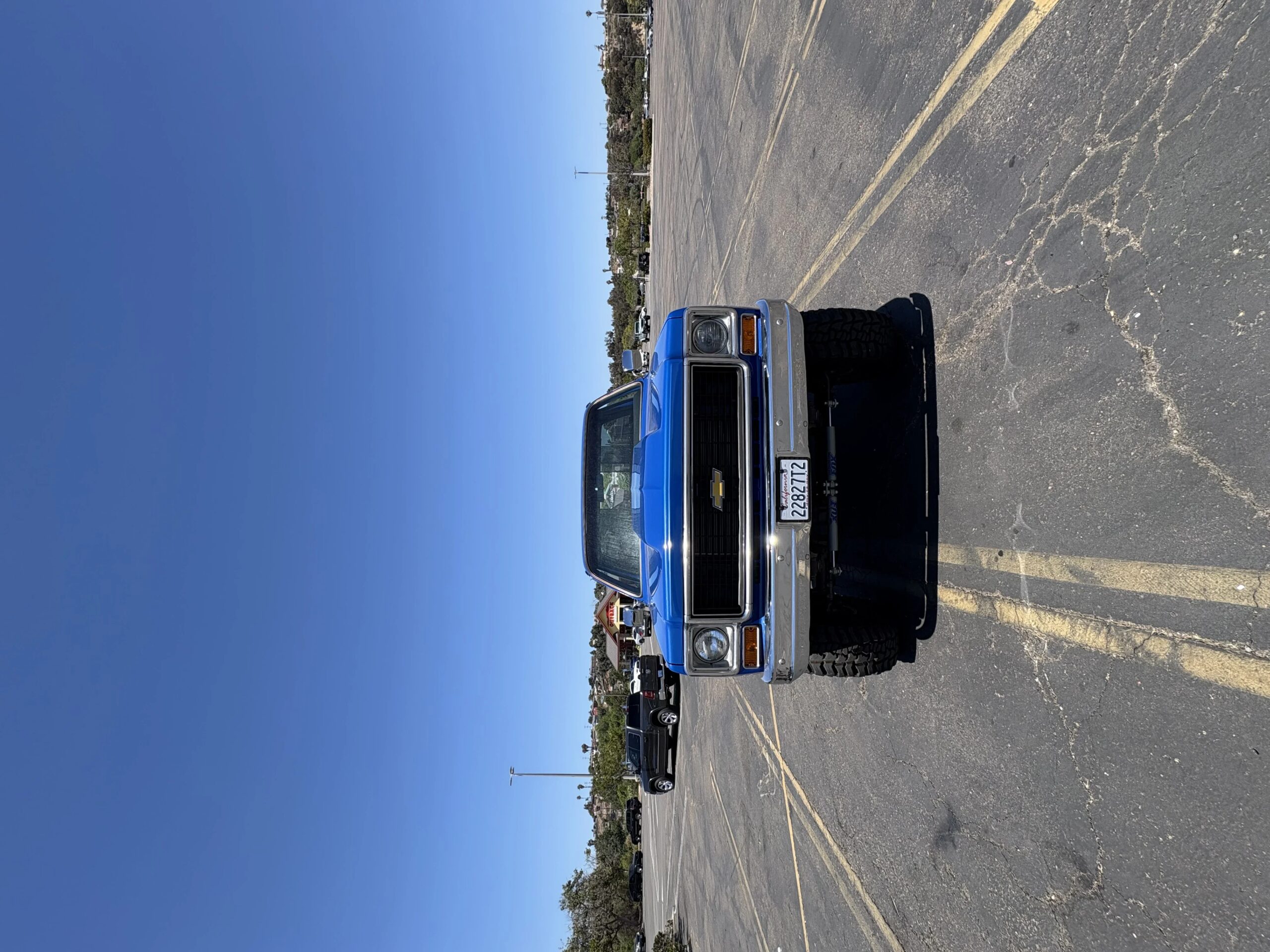 Chevrolet-Ck-truck-cheyenne-1973-Blue-Black-10