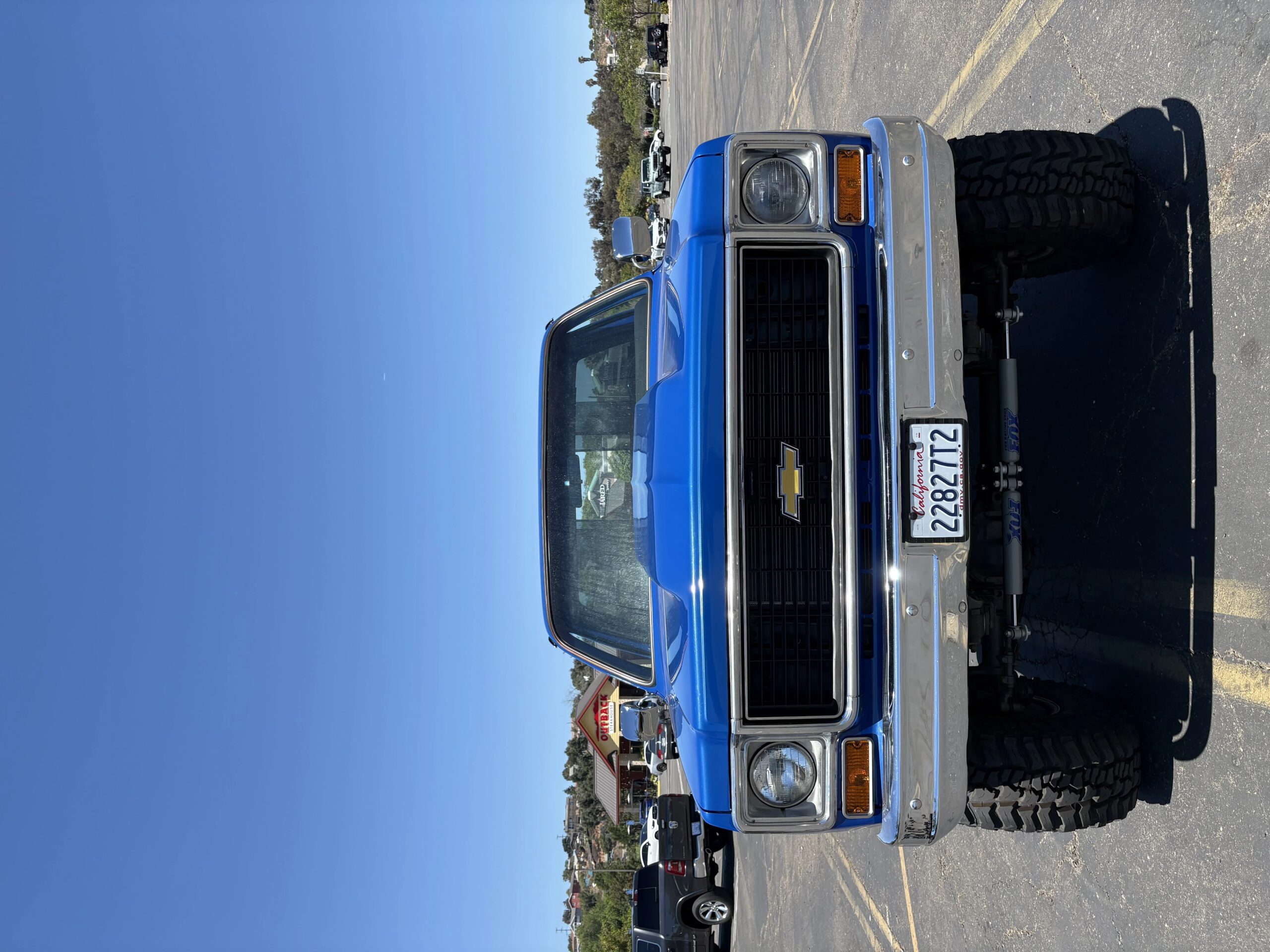Chevrolet-Ck-truck-cheyenne-1973-Blue-Black-11