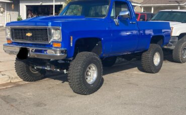 Chevrolet-Ck-truck-cheyenne-1973-Blue-Black-20