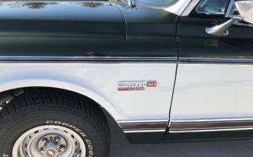 Chevrolet-Ck-truck-cheyenne-super-1972-Green-Green-21