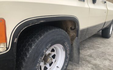 Chevrolet-Ck-truck-custom-deluxe-1979-Tan-Brown-1