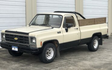 Chevrolet-Ck-truck-custom-deluxe-1979-Tan-Brown-10