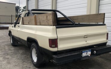 Chevrolet-Ck-truck-custom-deluxe-1979-Tan-Brown-12