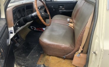 Chevrolet-Ck-truck-custom-deluxe-1979-Tan-Brown-18