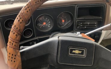 Chevrolet-Ck-truck-custom-deluxe-1979-Tan-Brown-19