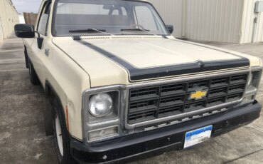 Chevrolet-Ck-truck-custom-deluxe-1979-Tan-Brown-2