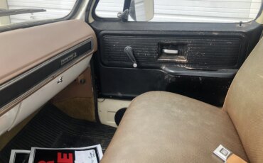 Chevrolet-Ck-truck-custom-deluxe-1979-Tan-Brown-21