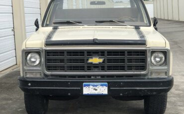 Chevrolet-Ck-truck-custom-deluxe-1979-Tan-Brown-31