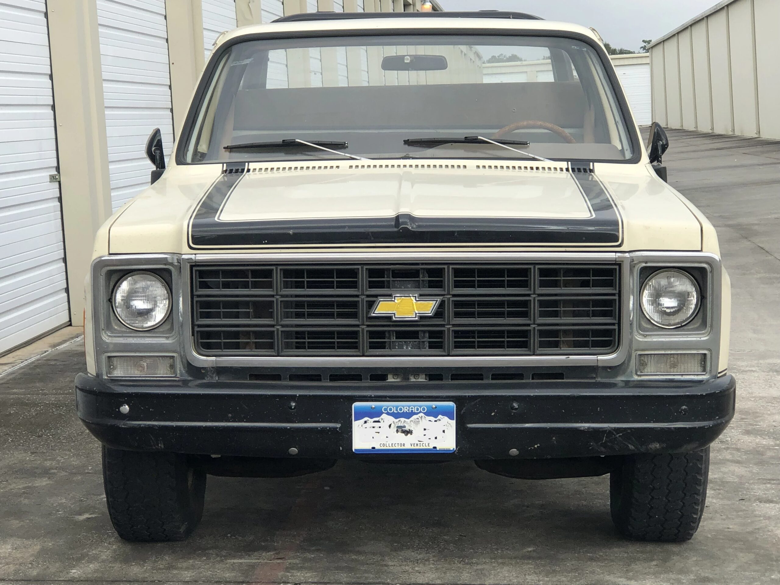 Chevrolet-Ck-truck-custom-deluxe-1979-Tan-Brown-31