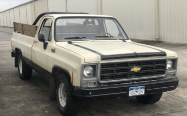 Chevrolet-Ck-truck-custom-deluxe-1979-Tan-Brown