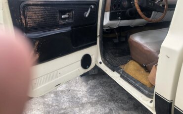 Chevrolet-Ck-truck-custom-deluxe-1979-Tan-Brown-5