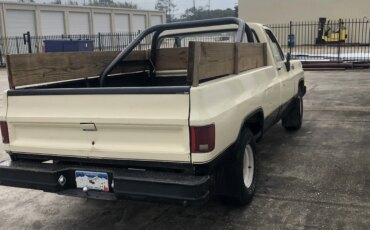 Chevrolet-Ck-truck-custom-deluxe-1979-Tan-Brown-9