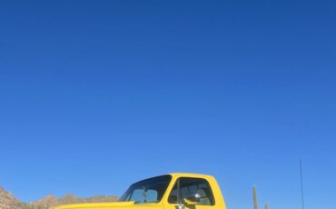 Chevrolet-Ck-truck-k10-1978-Yellow-Gray-3
