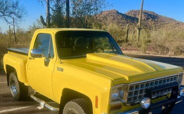 Chevrolet-Ck-truck-k10-1978-Yellow-Gray