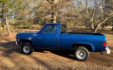 Chevrolet-Ck-truck-k10-1980-Blue-Blue-1