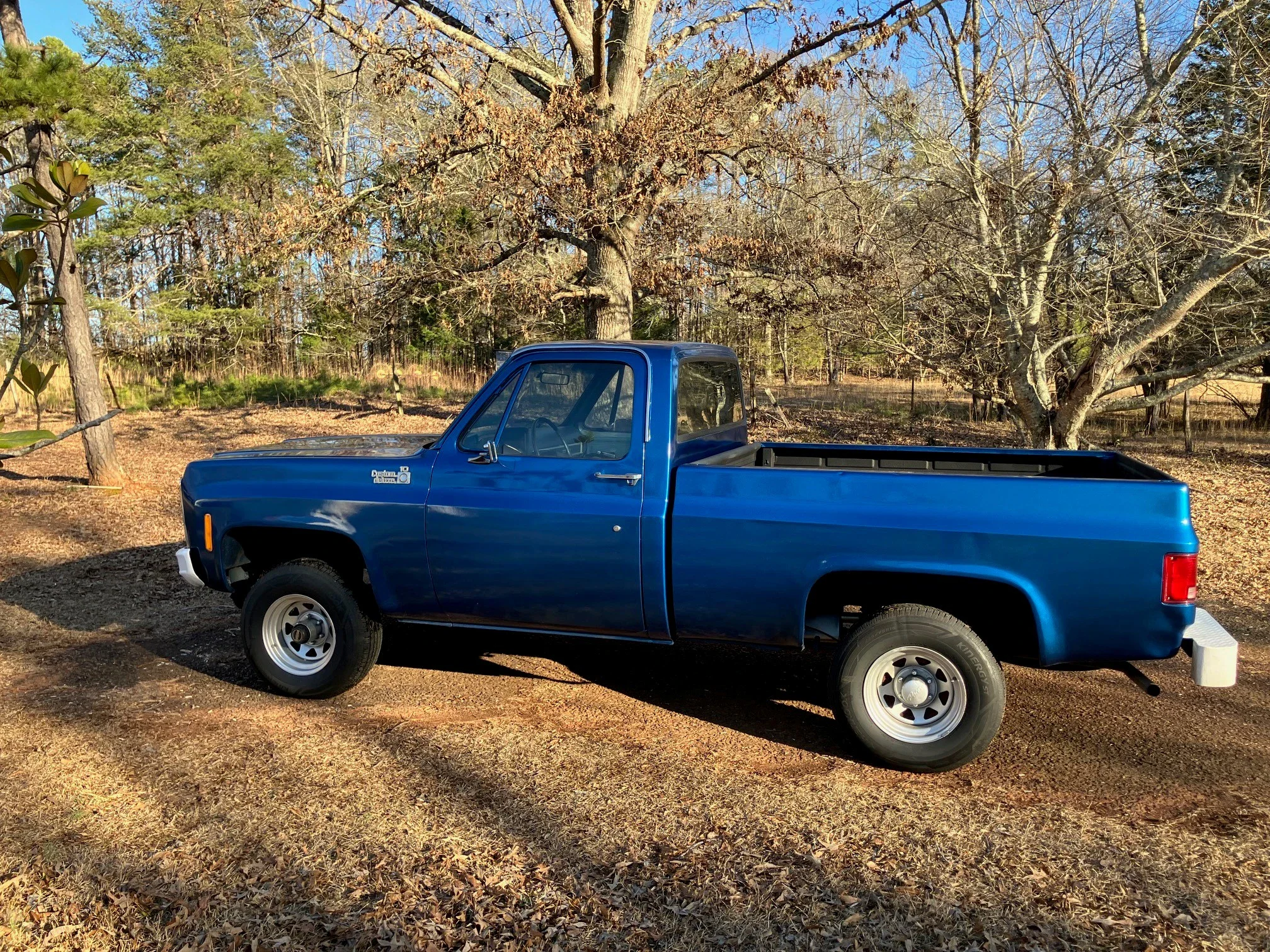 Chevrolet-Ck-truck-k10-1980-Blue-Blue-1