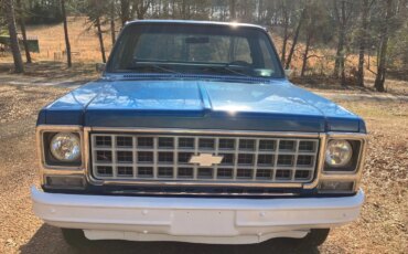 Chevrolet-Ck-truck-k10-1980-Blue-Blue-2