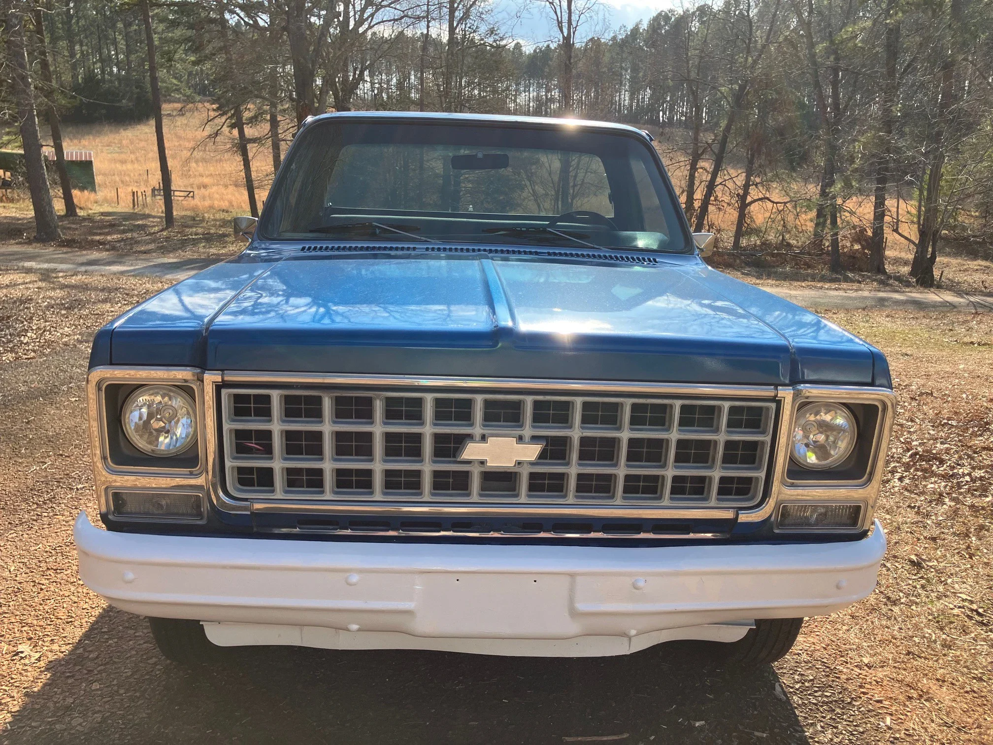 Chevrolet-Ck-truck-k10-1980-Blue-Blue-2