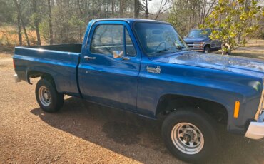 Chevrolet-Ck-truck-k10-1980-Blue-Blue