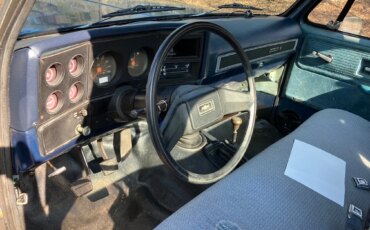 Chevrolet-Ck-truck-k10-1980-Blue-Blue-4