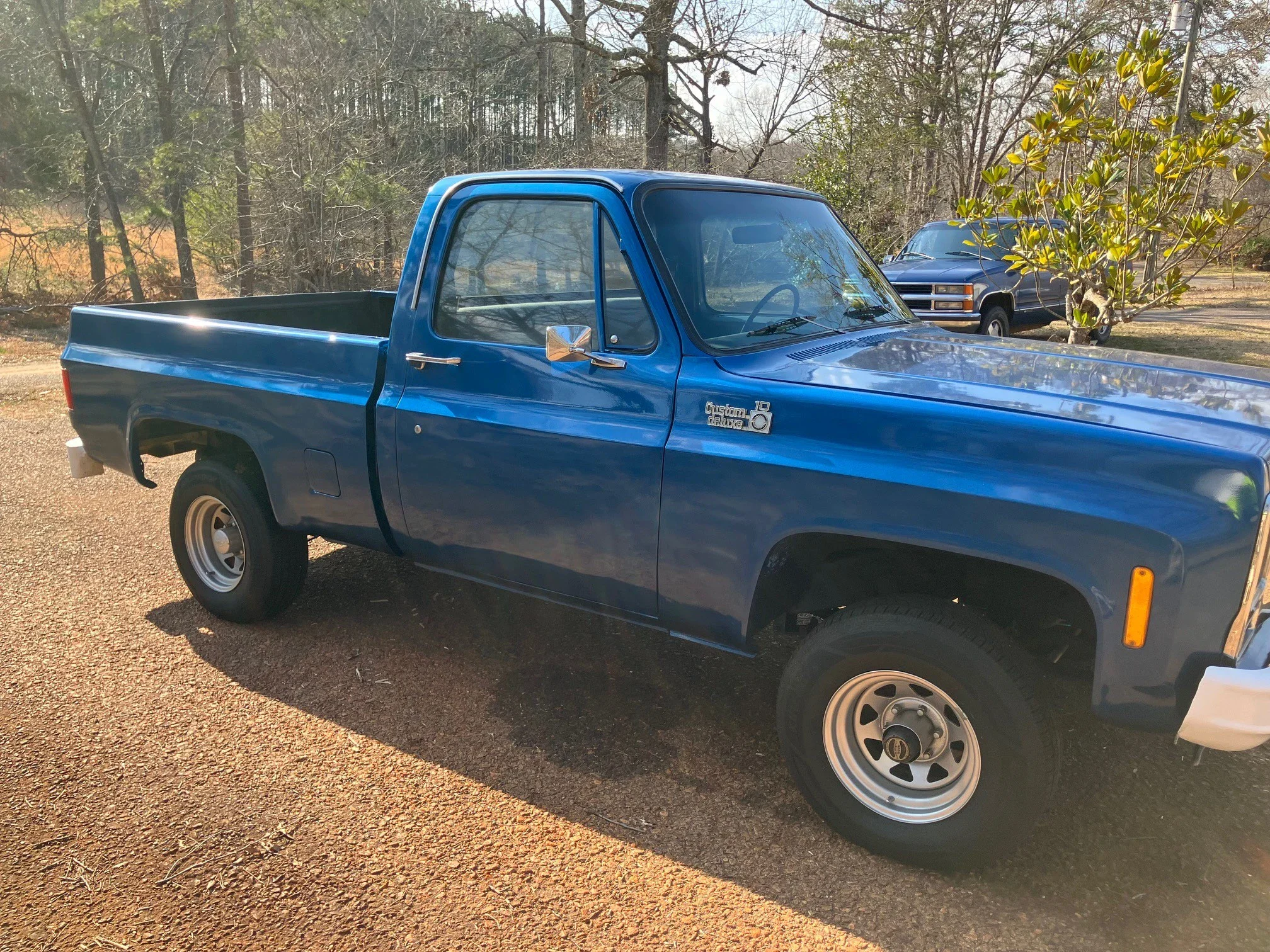 Chevrolet-Ck-truck-k10-1980-Blue-Blue