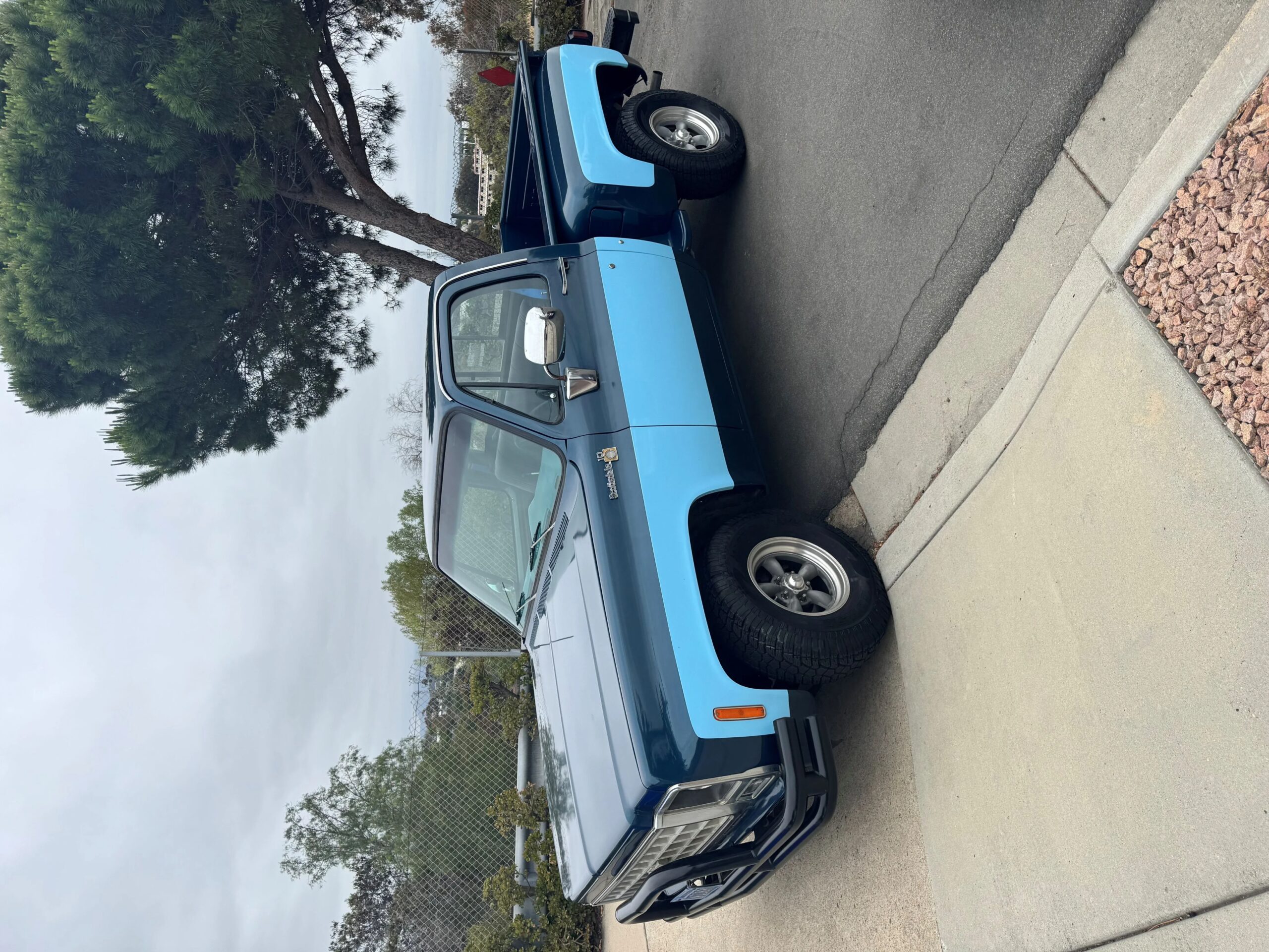 Chevrolet-Ck-truck-scottsdale-1980-Blue-Blue-3