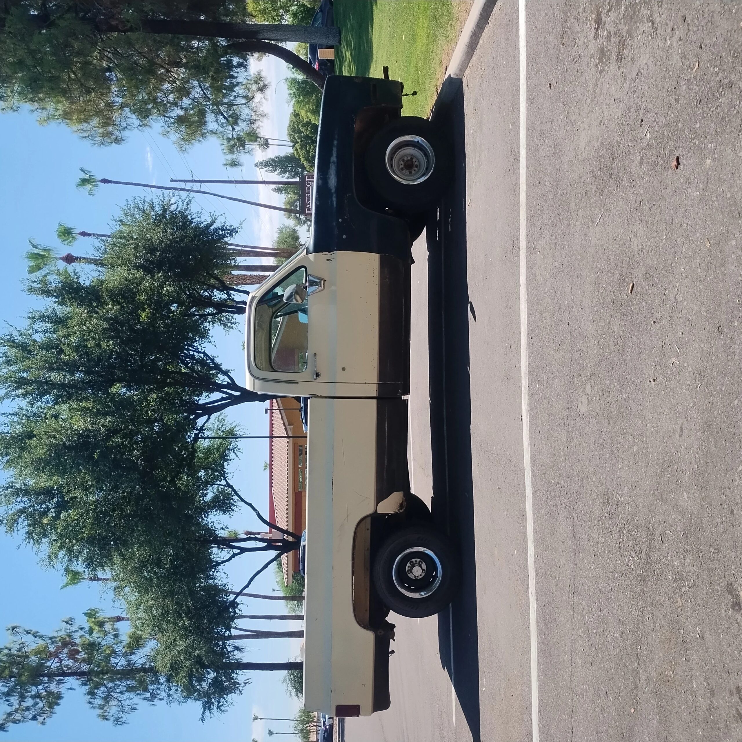 Chevrolet-Ck-truck-scottsdale-1981-Tan-Beige-11