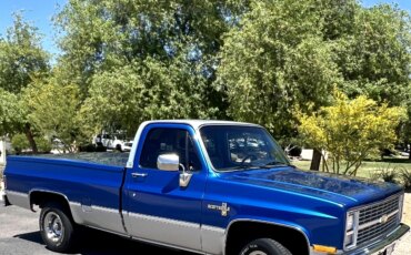 Chevrolet-Ck-truck-scottsdale-1987-Blue-Blue-10
