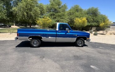 Chevrolet-Ck-truck-scottsdale-1987-Blue-Blue-12