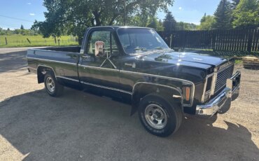 Chevrolet-Ck-truck-silverado-1979-Black-Gray