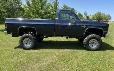 Chevrolet-Ck-truck-silverado-1983-Blue-Blue-21