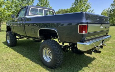 Chevrolet-Ck-truck-silverado-1983-Blue-Blue-24