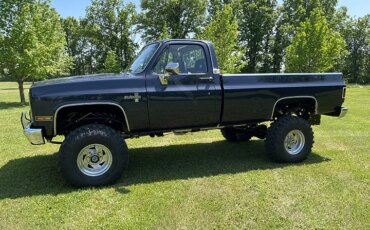 Chevrolet-Ck-truck-silverado-1983-Blue-Blue-5