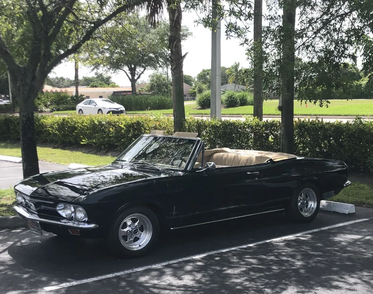 Chevrolet-Corvair-monza-convertible-1965-Tan-5