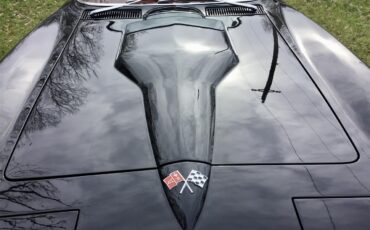 Chevrolet-Corvette-1965-Black-Red-87