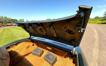 Chevrolet-Corvette-1969-Convertible-30