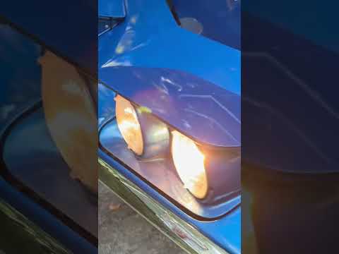 Chevrolet-Corvette-1971-Bridgehampton-Blue-Blue-3