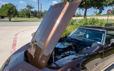 Chevrolet-Corvette-1974-Coupe-17