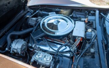 Chevrolet-Corvette-1974-Coupe-18