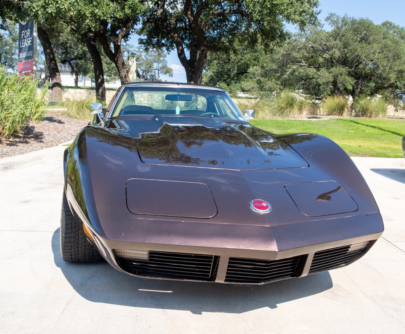 Chevrolet-Corvette-1974-Coupe-8