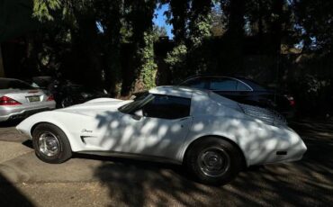 Chevrolet-Corvette-1974-White-8