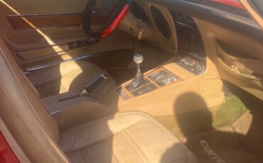 Chevrolet-Corvette-1976-15