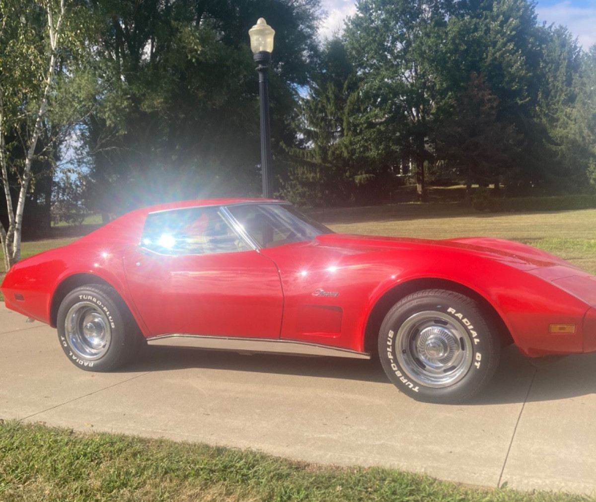 Chevrolet-Corvette-1976-5