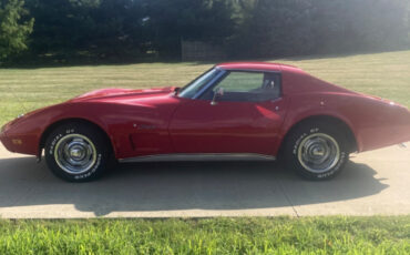 Chevrolet-Corvette-1976-8