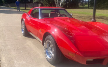 Chevrolet-Corvette-1976-9