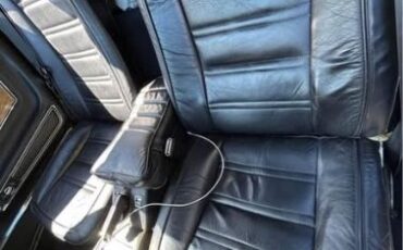 Chevrolet-Corvette-1976-Black-Black-4